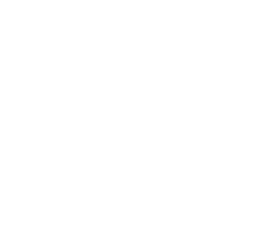 Gouvernement logo