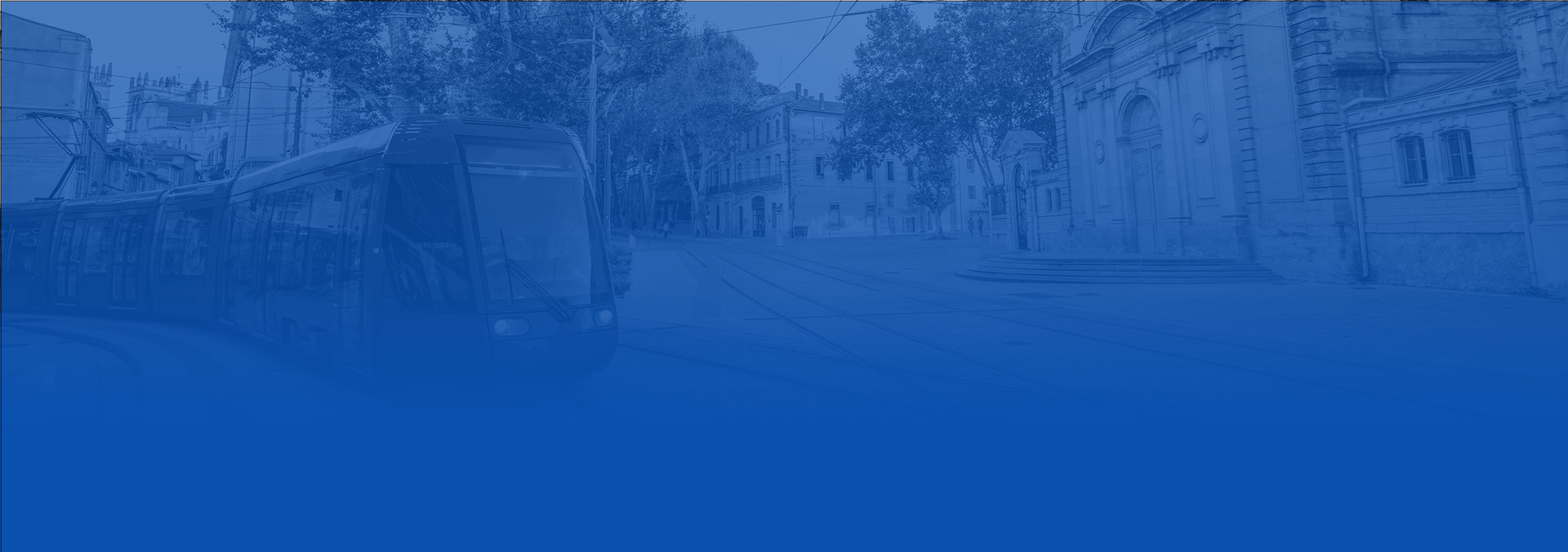 soccer sneakers on field