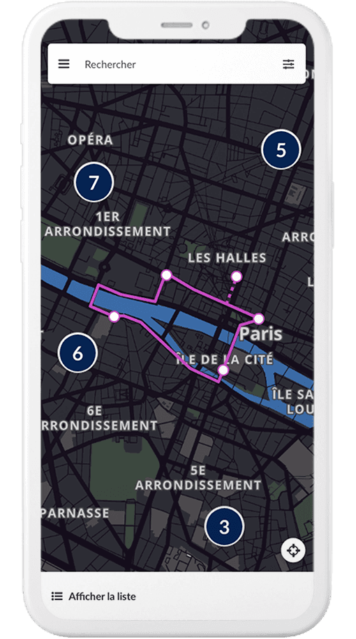 mobile with pinpoints and a circuit on map
